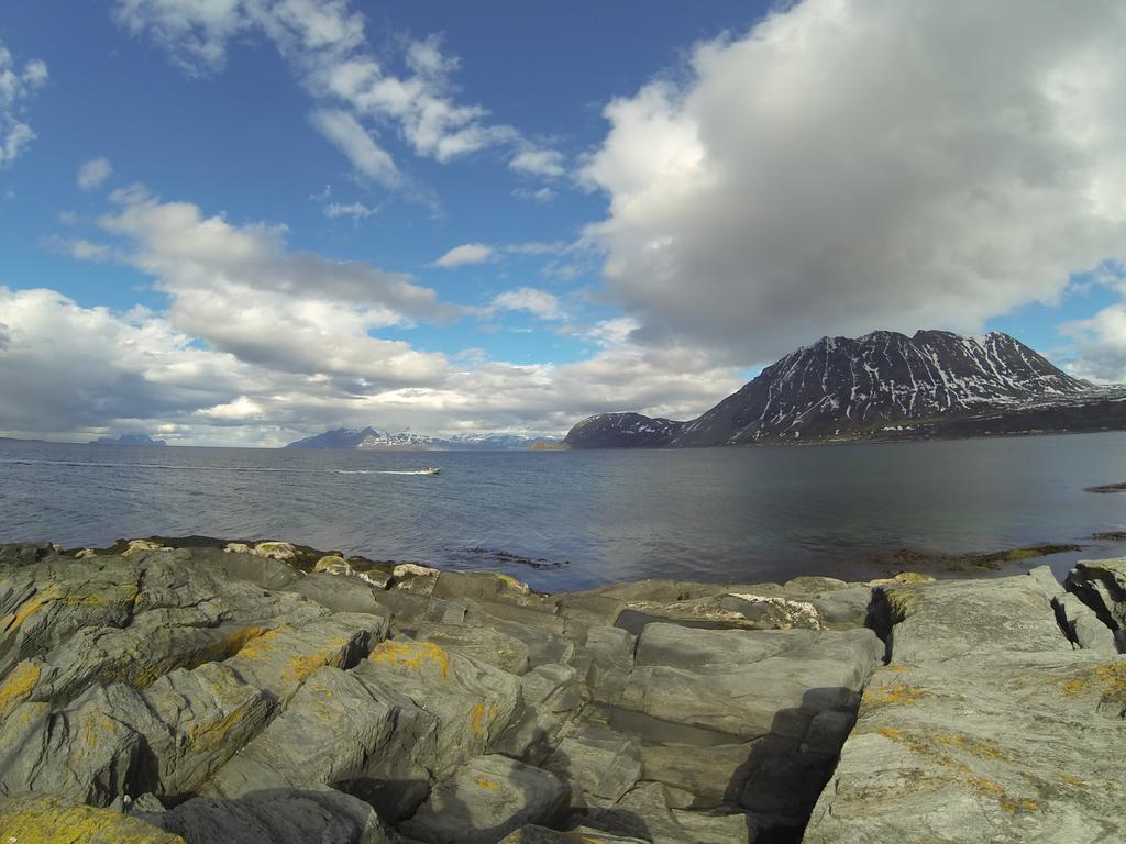 Feriehus Lyngen Fjordcamp *